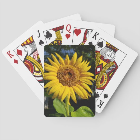 Jeu De Cartes Tournesol (dos)