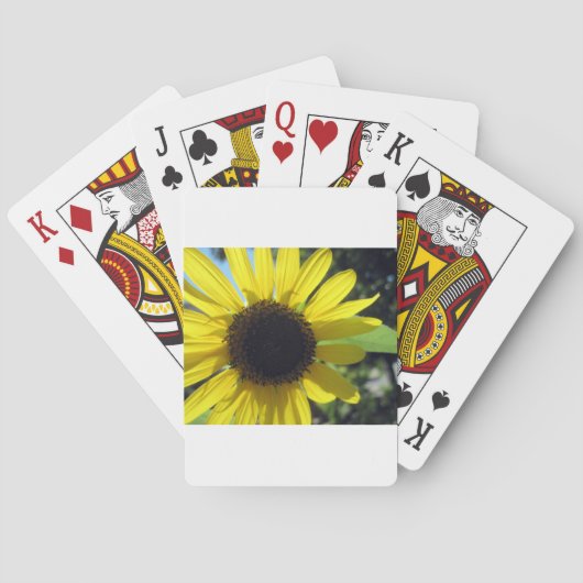 Jeu De Cartes Tournesol jaune (dos)