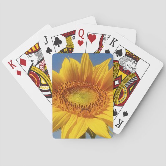 Jeu De Cartes Tournesol jaune (dos)