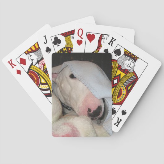 Jeu De Cartes Tout recouvert.... Presque ! (dos)