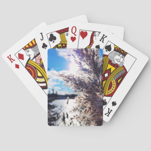 Jeu De Cartes Tout simplement beau 1 (dos)