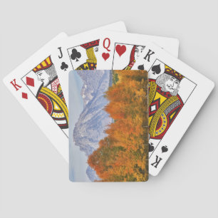 Jeu De Cartes Trembles avec la chaîne de montagnes Teton