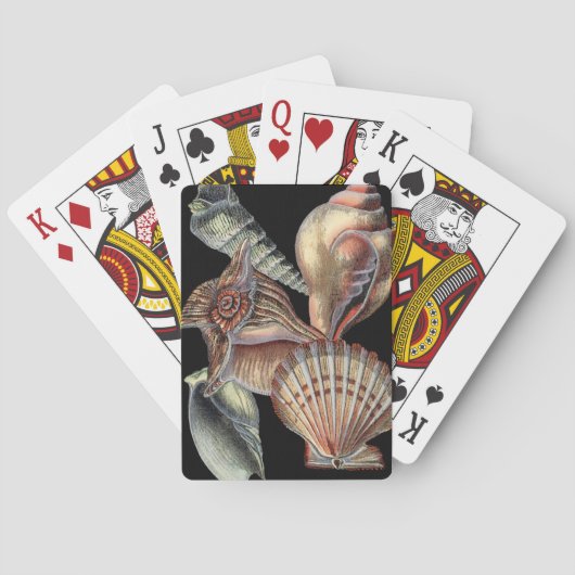Jeu De Cartes Trésors de la mer (dos)