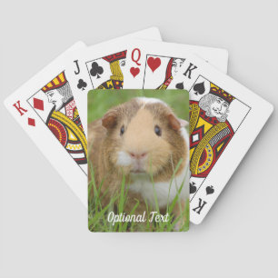Jeu De Cartes Tri Couleur Animal de compagnie Cochon de Guinée d