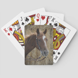 Jeu De Cartes Trimestre Horse Jouer Cartes