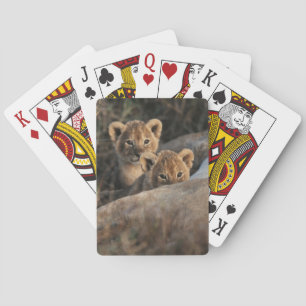 Jeu De Cartes Trio de bébés Lions âgés de six semaines assis