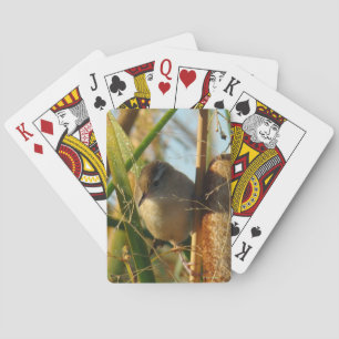 Jeu De Cartes Troglodyte des marais B3 dans les quenouilles