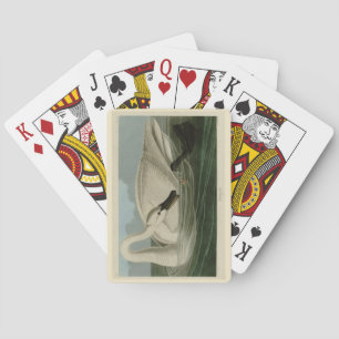 Jeu De Cartes Trumpeter Swan
