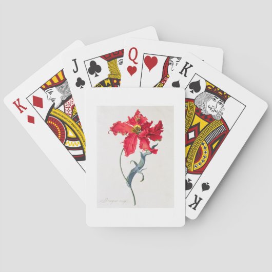 Jeu De Cartes Tulip Perroquet rouge (dos)