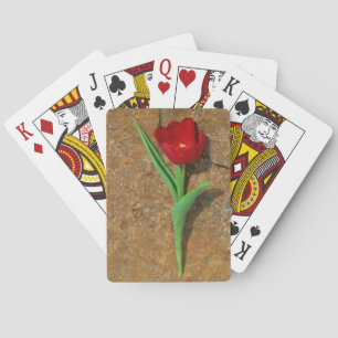 Jeu De Cartes Tulipe jaune et rouge
