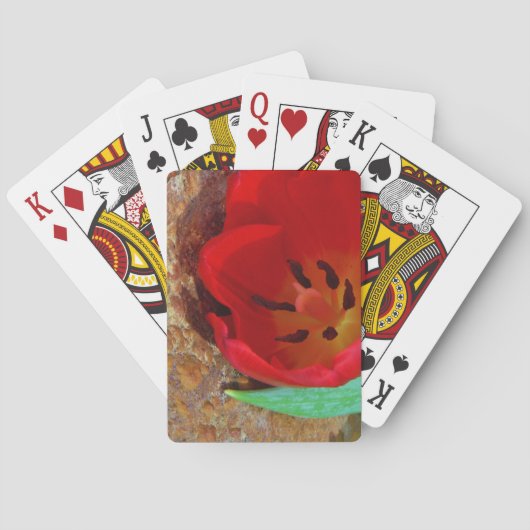 Jeu De Cartes Tulipe jaune printemps et rouge (dos)