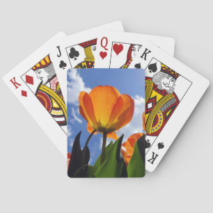 Jeu De Cartes Tulipe orange, Ciel bleu