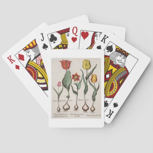 Jeu De Cartes Tulipes : 1. Tulipa lutea maculis rubens ; 2. Tuli (dos)