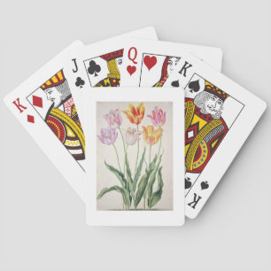 Jeu De Cartes Tulipes, du "Florilegium de Nassau" (la semaine