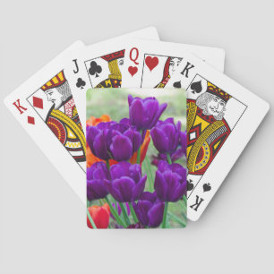 Jeu De Cartes Tulipes violettes foncées par beau temps dans le j