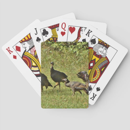 Jeu De Cartes Turquie sauvage, couleurs du Camouflage (dos)