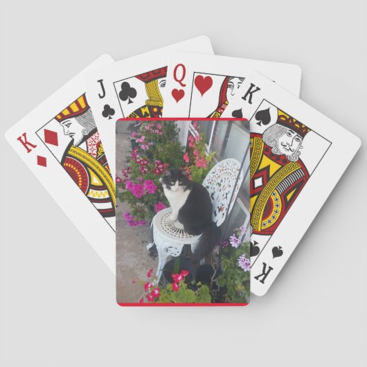 Jeu De Cartes Tuxedo Chat Cute Jolie Fleurs Chats Anniversaire (dos)