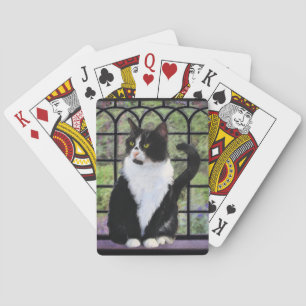 Jeu De Cartes Tuxedo Chat dans la peinture de fenêtre Art animal
