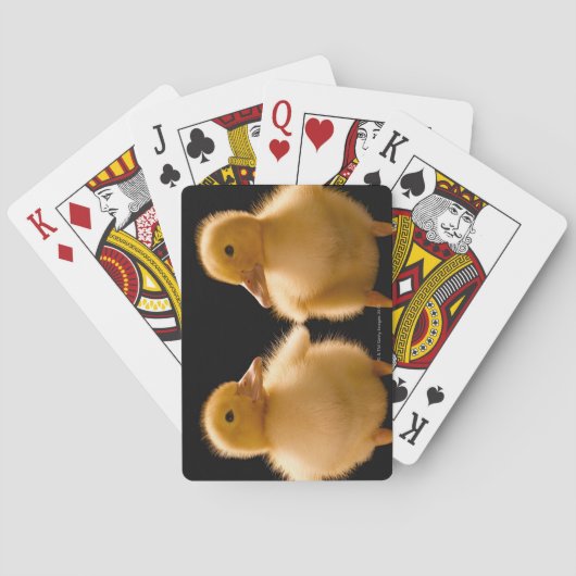 Jeu De Cartes Two Duckling Looking at one another (dos)