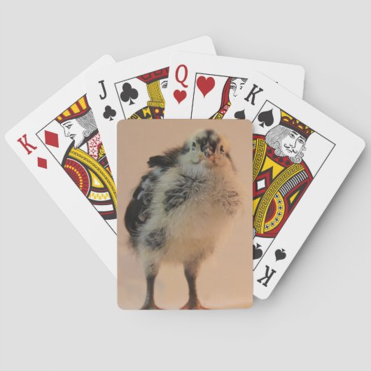 Jeu De Cartes Ugly Chick (dos)