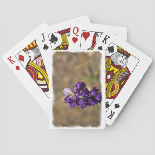 Jeu De Cartes Un autre bord blanc de gros plan de Lupine