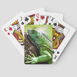 Jeu De Cartes un autre jour vert