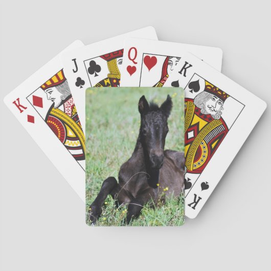 Jeu De Cartes Un bébé cheval dans la prairie (dos)