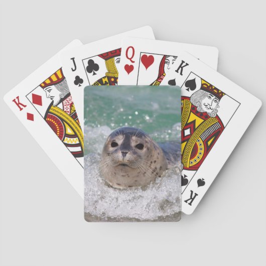 Jeu De Cartes Un bébé phoque surfant (dos)