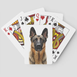 Jeu De Cartes Un berger allemand assis