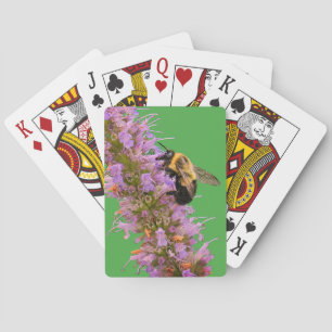 Jeu De Cartes Un bourdon et une agastache fenouil