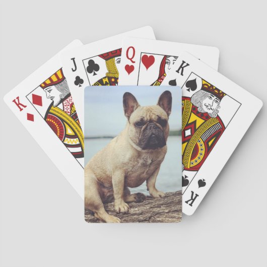 Jeu De Cartes Un Bulldog français (dos)