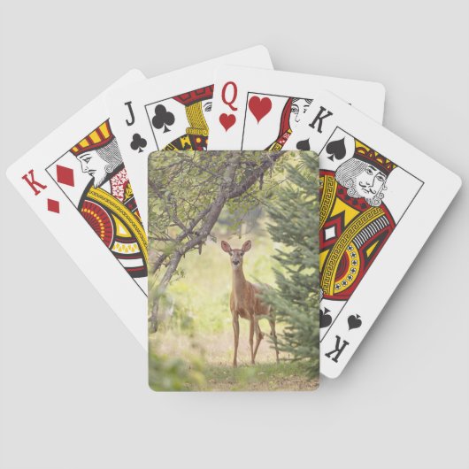 Jeu De Cartes Un cerf solitaire (dos)