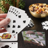 Jeu De Cartes Un champignon (In Situ)