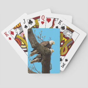 Jeu De Cartes Un couple d'aigles heureux (?)
