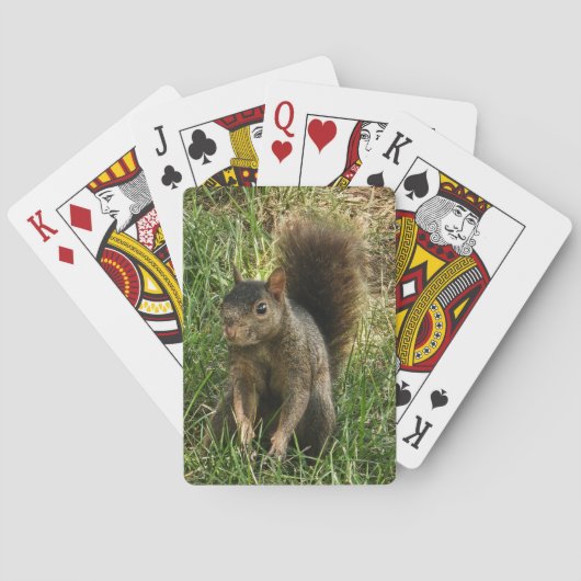 Jeu De Cartes Un écureuil noir (dos)