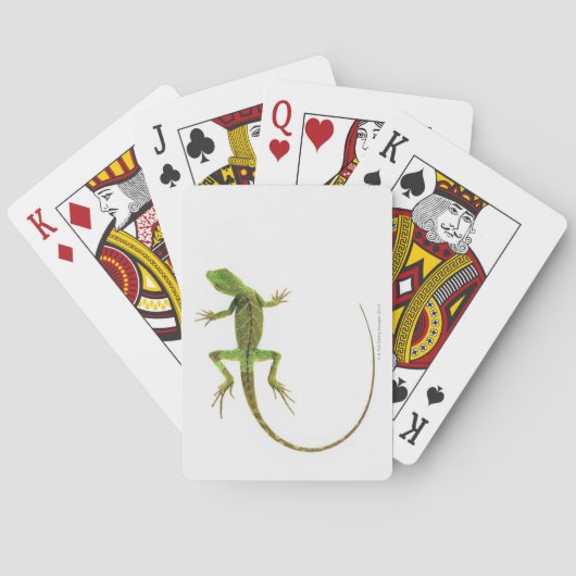 Jeu De Cartes Un lézard sur fond blanc (dos)