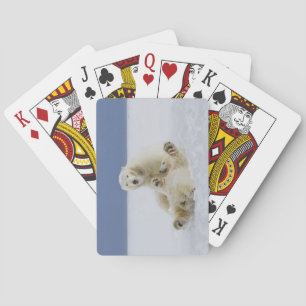 Jeu De Cartes Un ours blanc femelle et son petit animal jouent