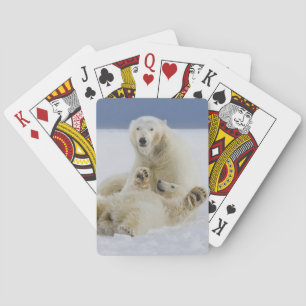 Jeu De Cartes Un ours blanc femelle et son petit animal jouent