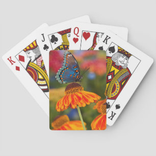 Jeu De Cartes Un Papilio troilus