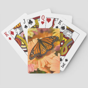 Jeu De Cartes Un papillon Morio