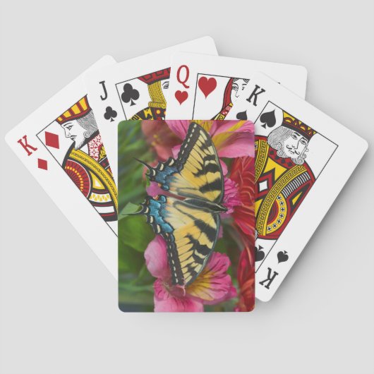Jeu De Cartes Un papillon Papilio glaucus (dos)