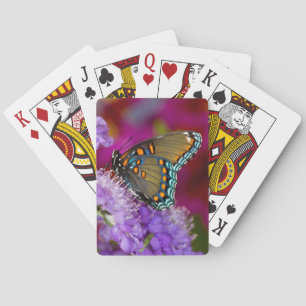 Jeu De Cartes Un papillon swallowtail de laurier d'été