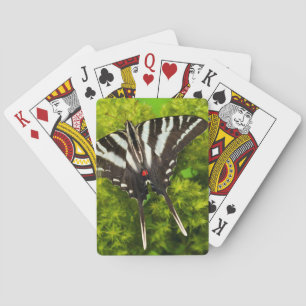 Jeu De Cartes Un papillon swallowtail nord-américain