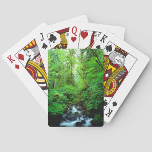 Jeu De Cartes Un ruisseau dans une forêt ancienne