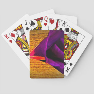 Jeu De Cartes Une espèce