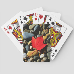 Jeu De Cartes Une feuille d'érable sur un fond rocheux