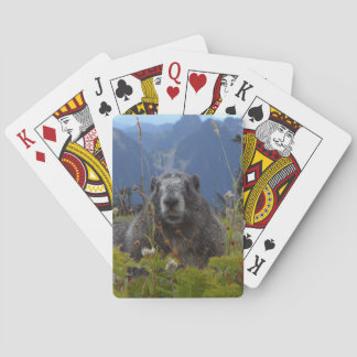 Jeu De Cartes Une marmotte au Paradis dans le Parc National du M