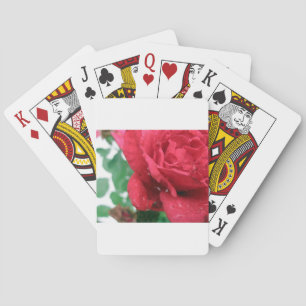 Jeu De Cartes Une rose rouge