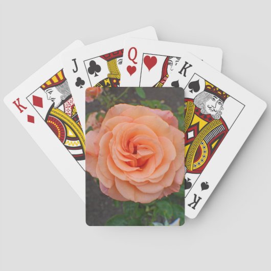 Jeu De Cartes Une seule fleur d'orange (dos)