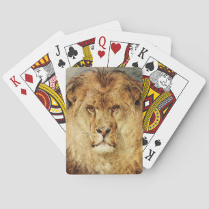 Jeu De Cartes Une tête de lion (par Heywood Hardy)